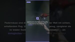 Video: Internationaler Fledermaus-Tag