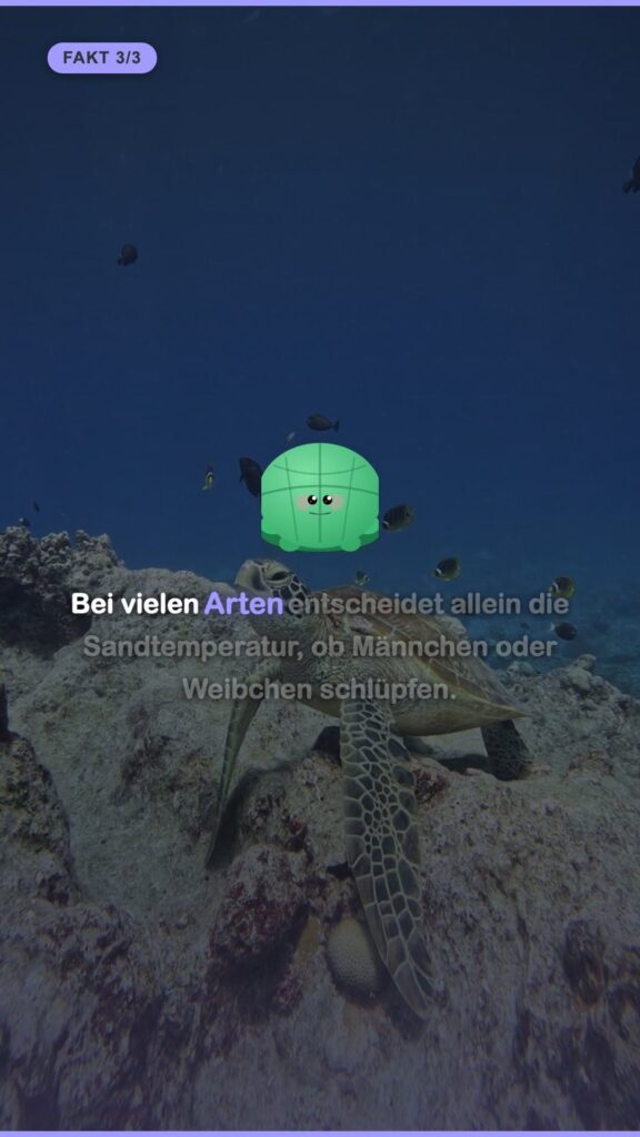 Video: Welt-Schildkröten-Tag