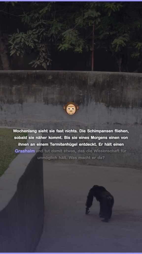 Video: Welt-Schimpansen-Tag