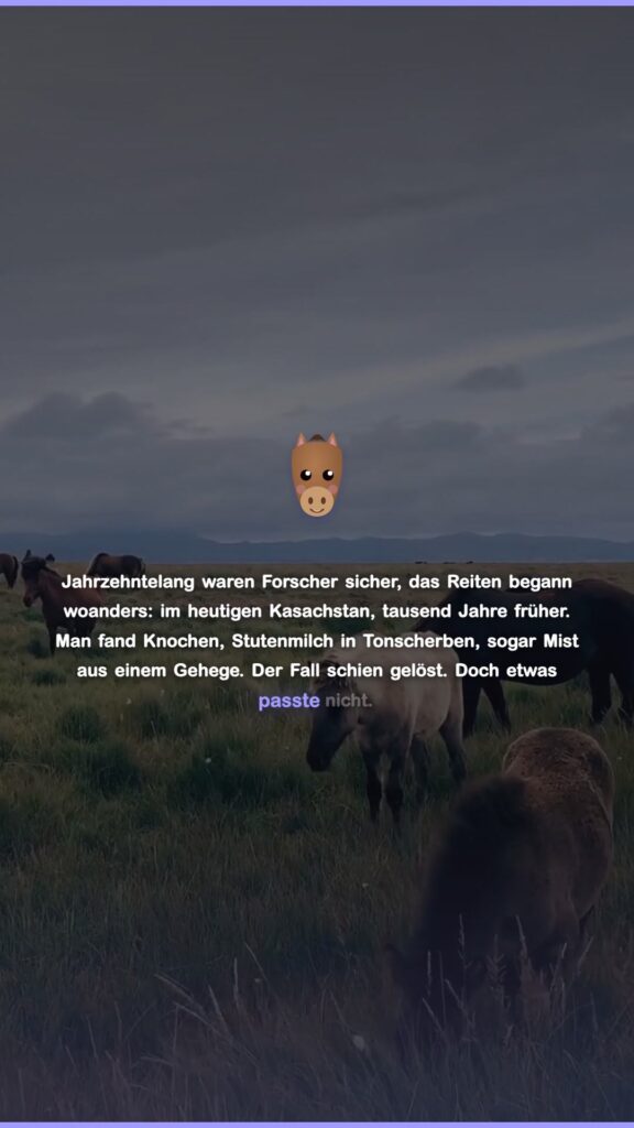 Video: Tag des Pferdes